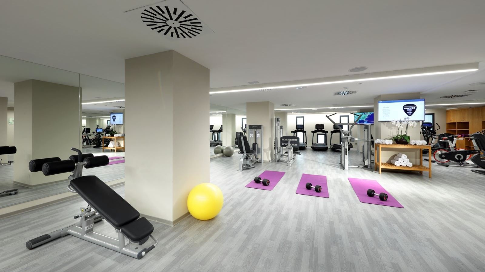 sport-sport