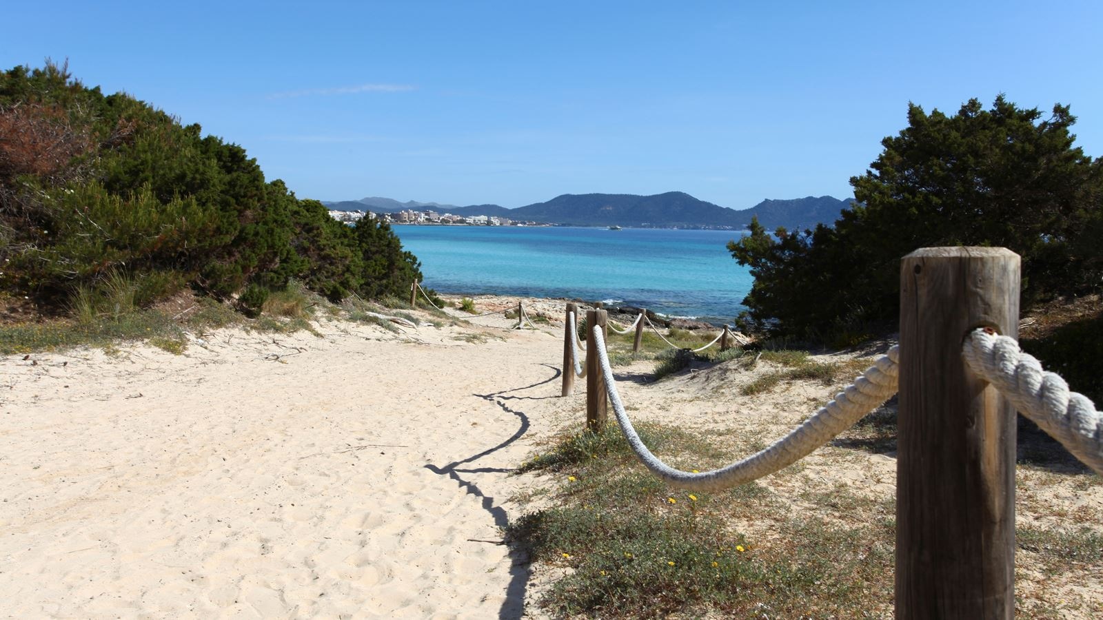 beach-beach
