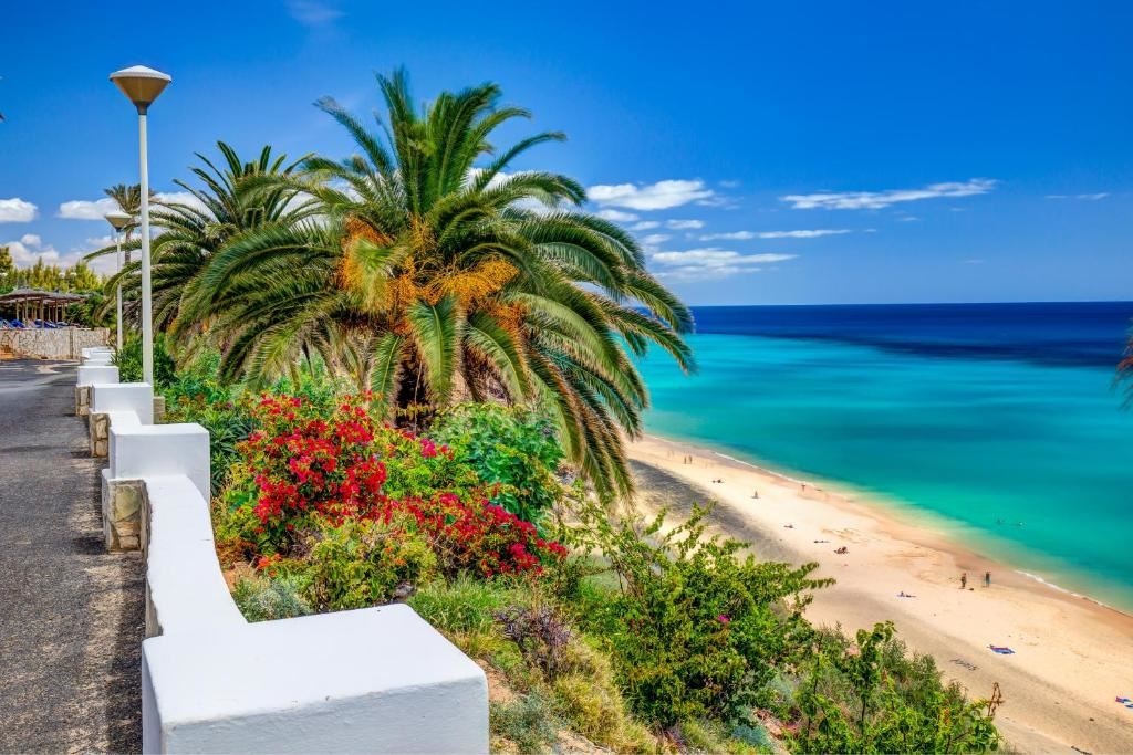 beach-beach