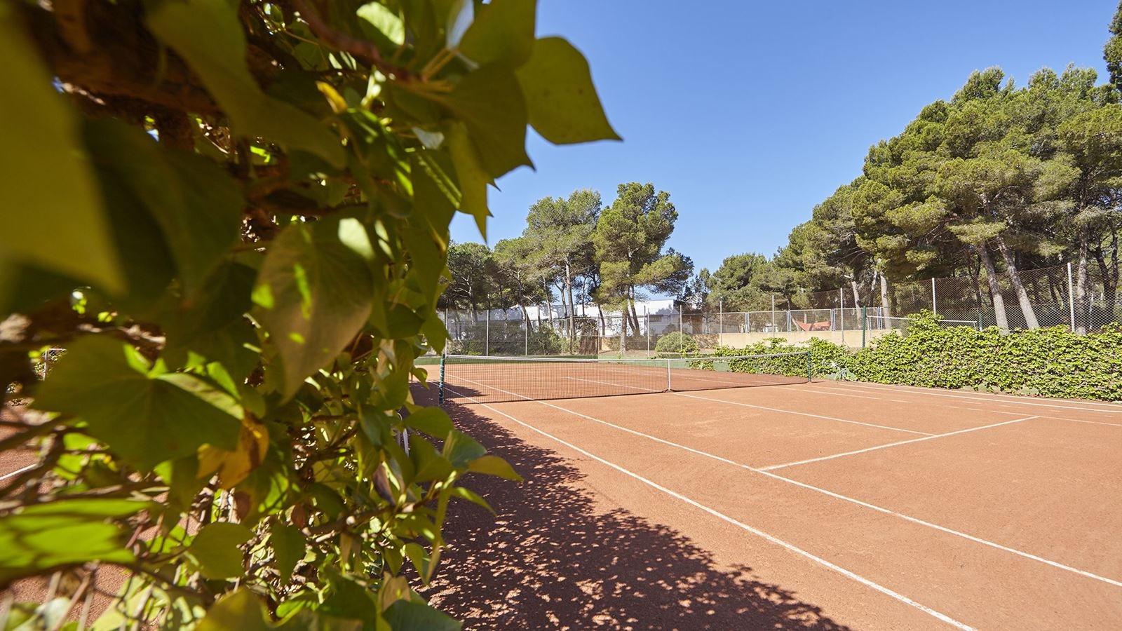 sport-sport