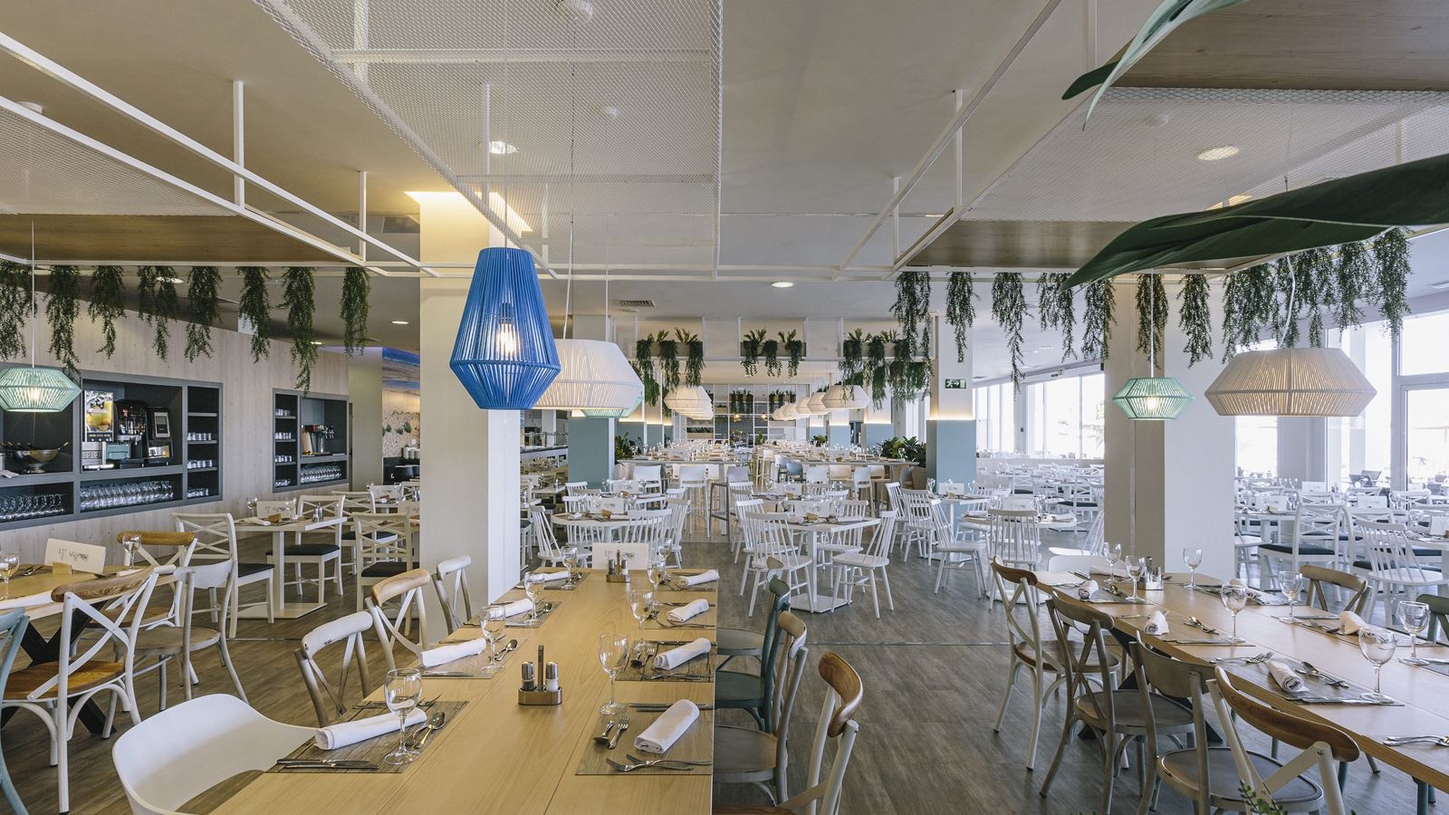 restaurants-terra