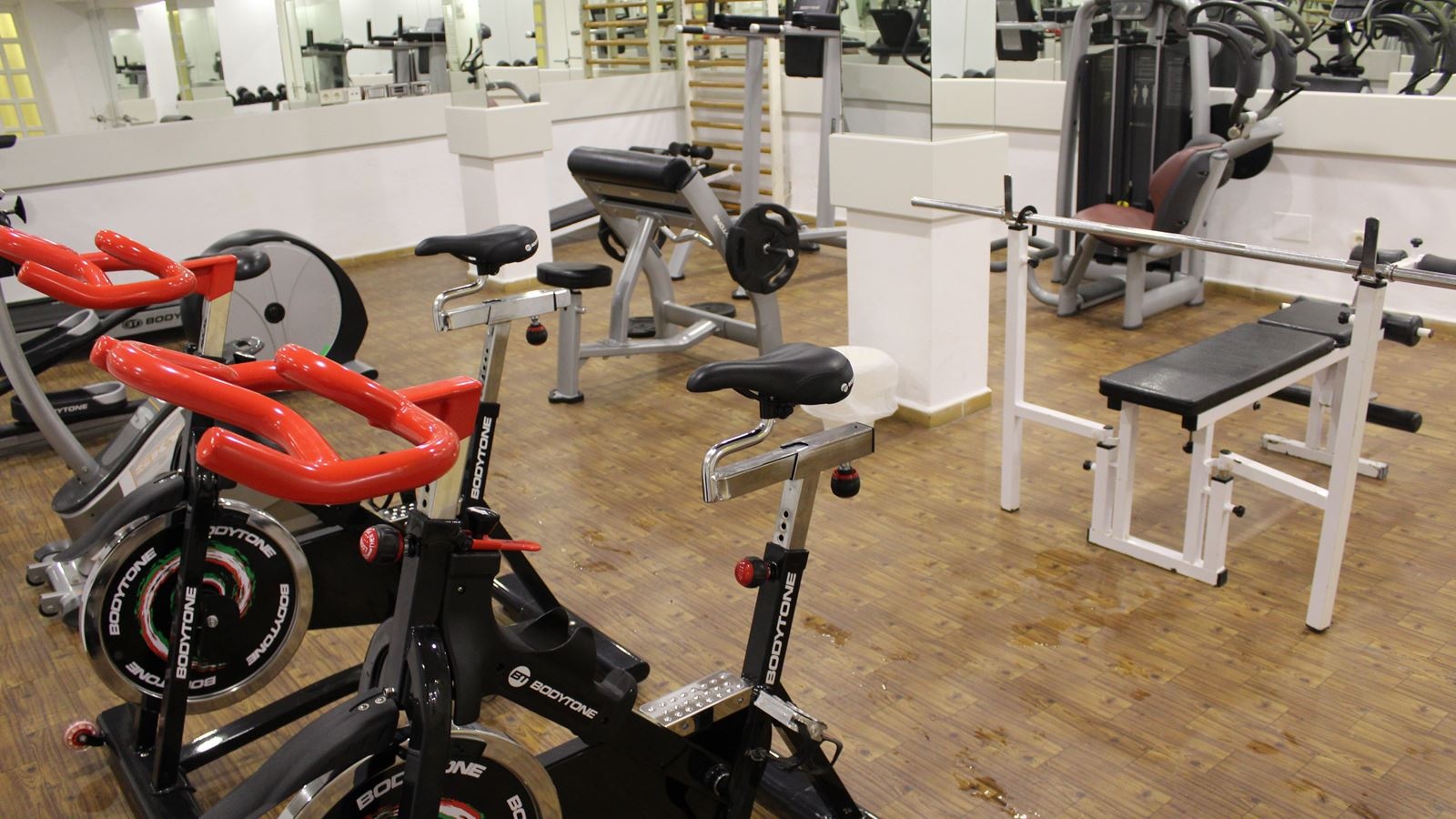sport-sport