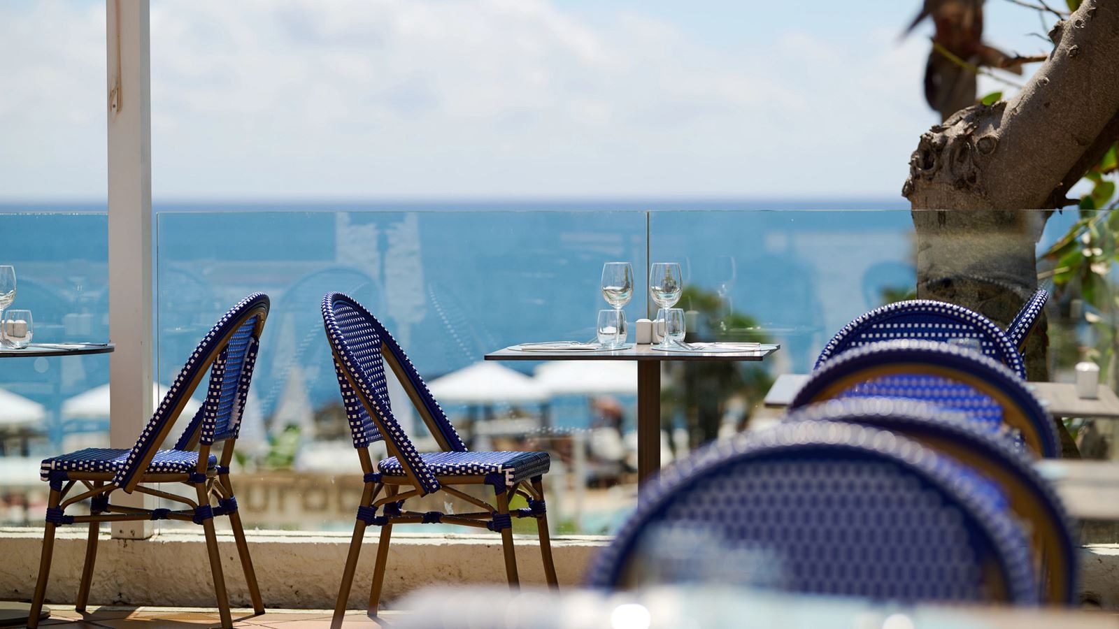restaurants-terra