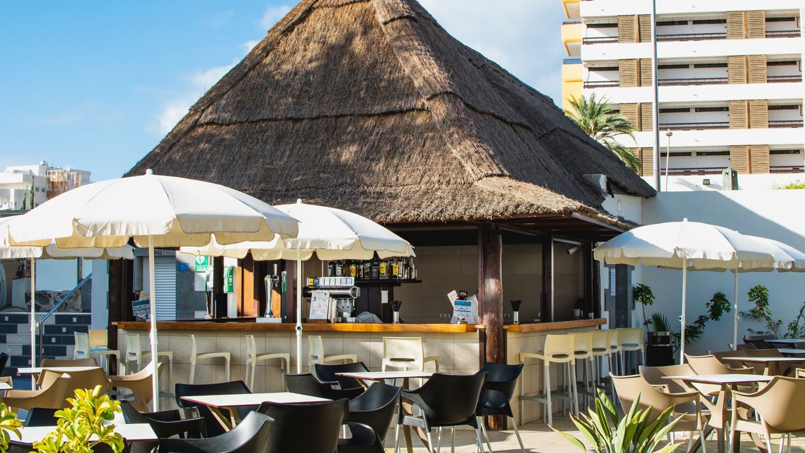 bars-bar-piscina