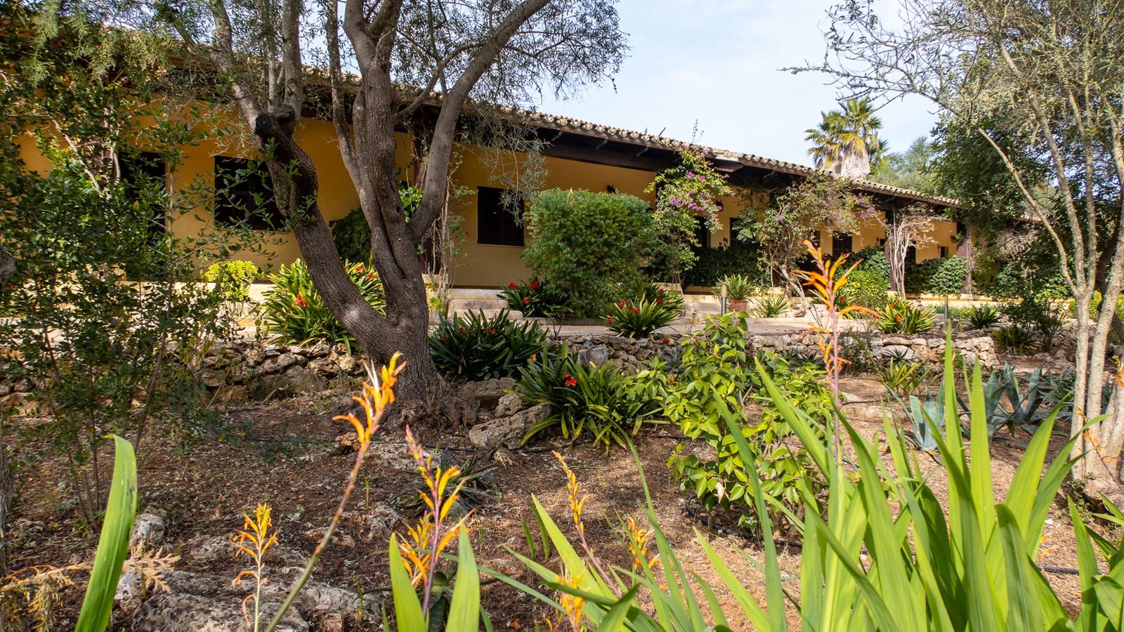 rooms-family-room-with-terrace