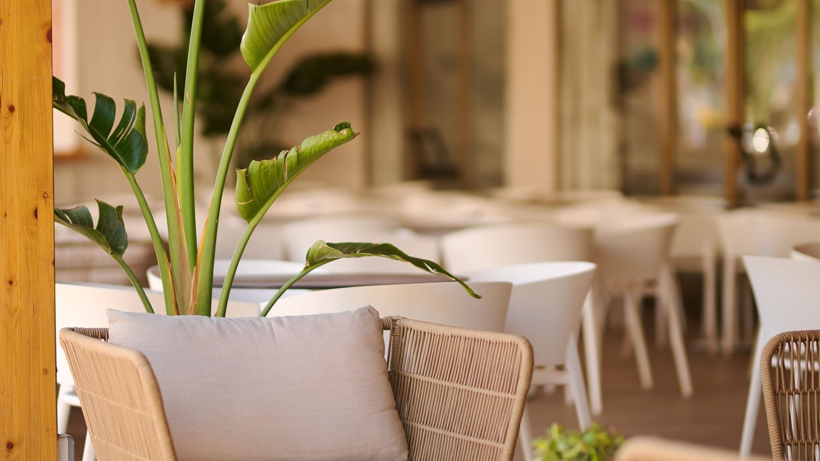 bars-la-luna-bar