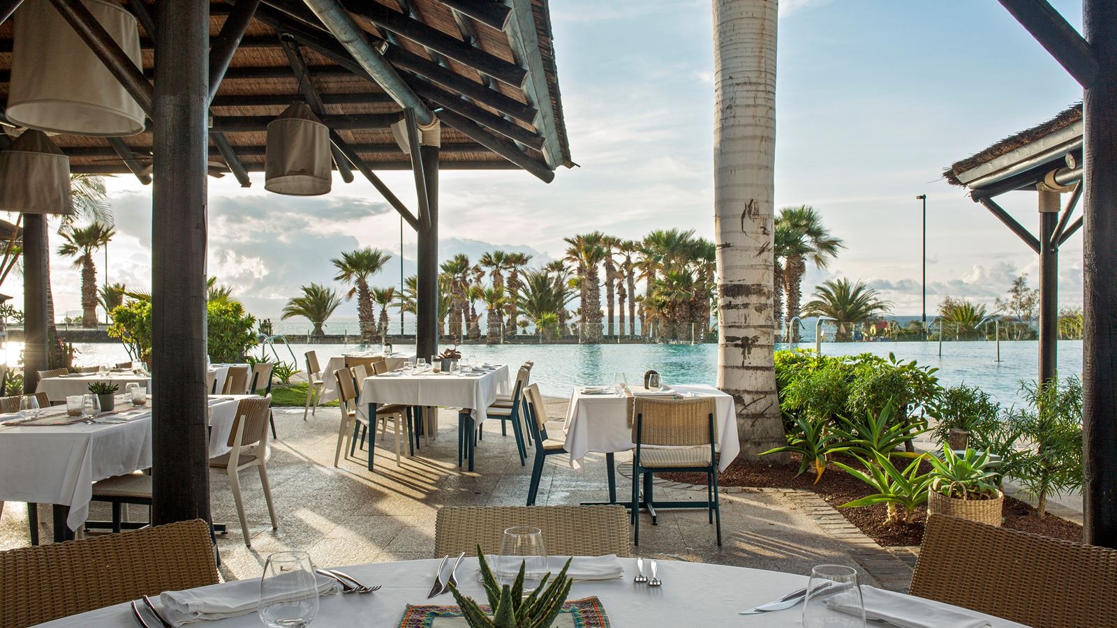 restaurants-agave