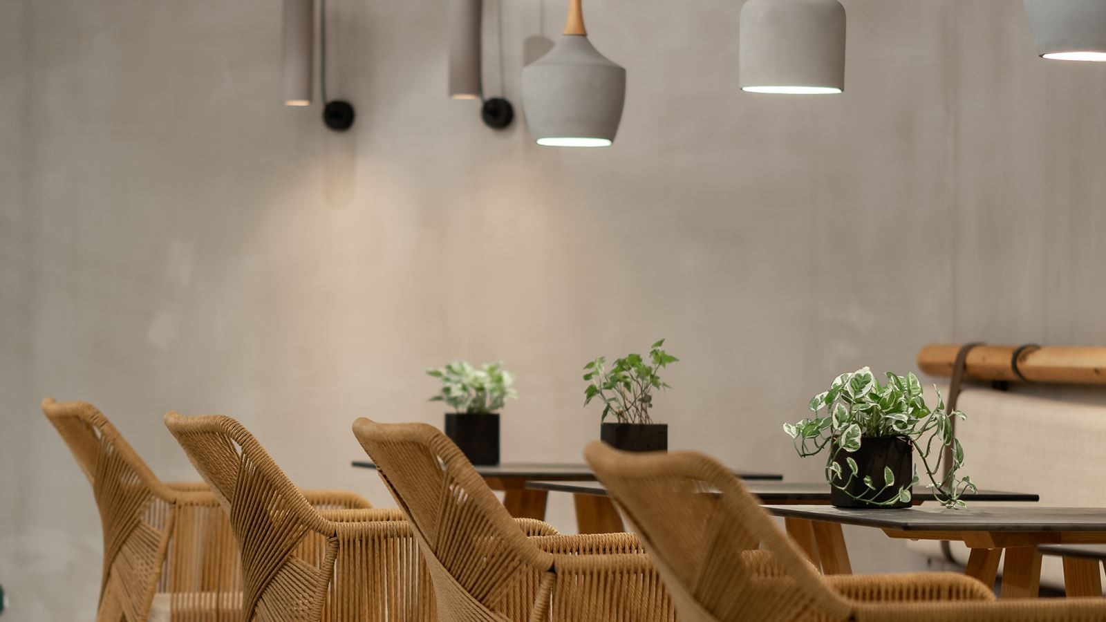 bars-main-bar