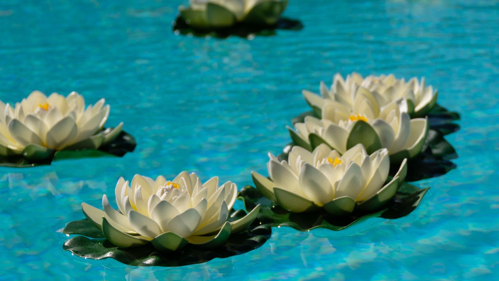 restaurants-matoula-pool-restaurant-a-la-carte