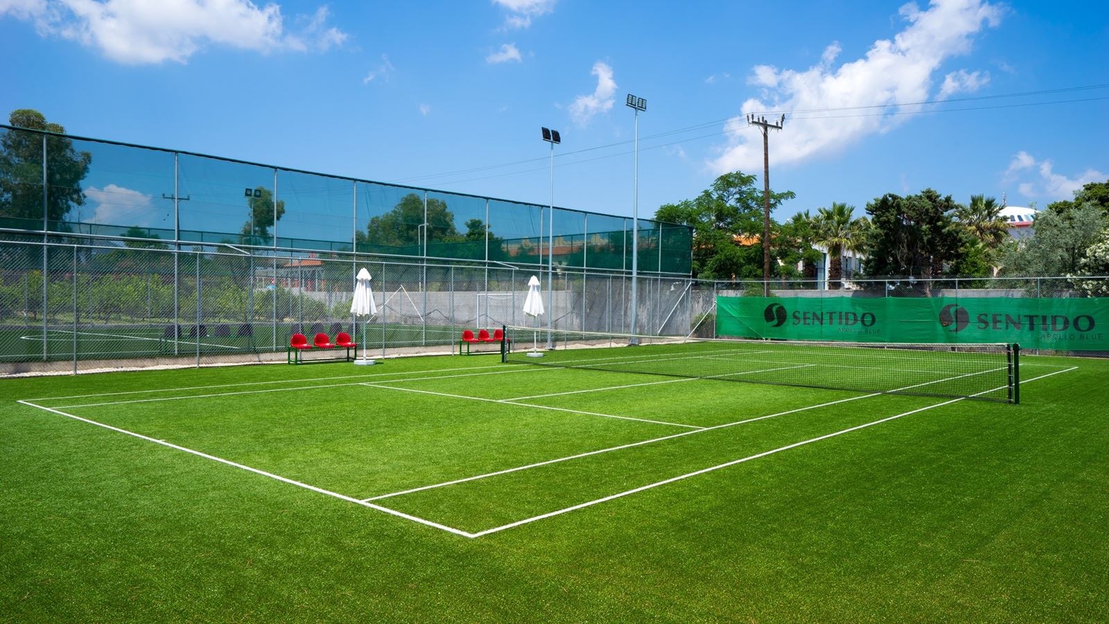 sport-sport
