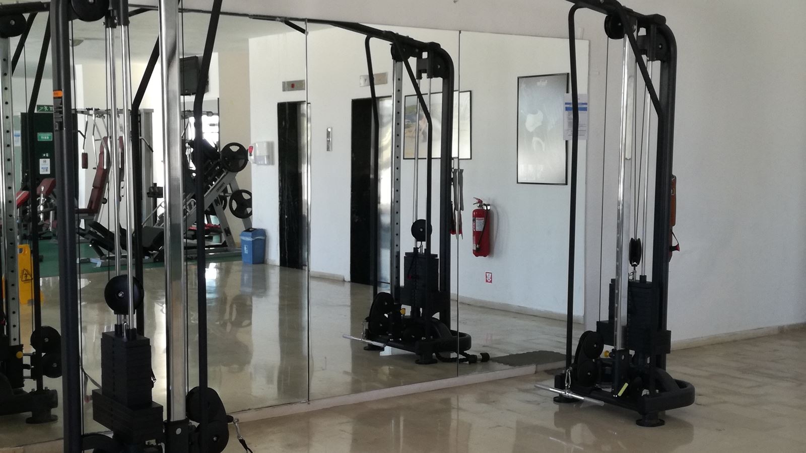 sport-sport