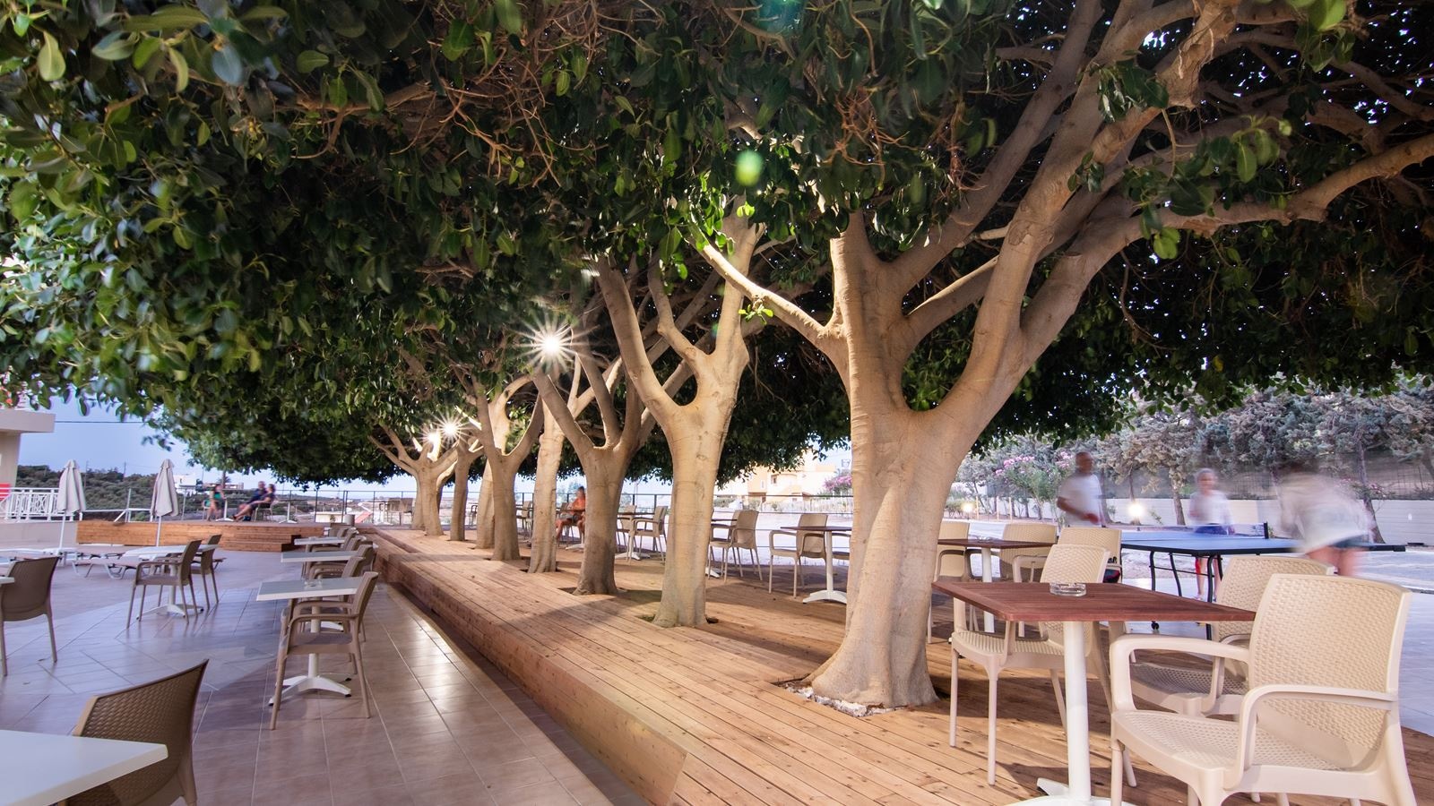 bars-pool-bar