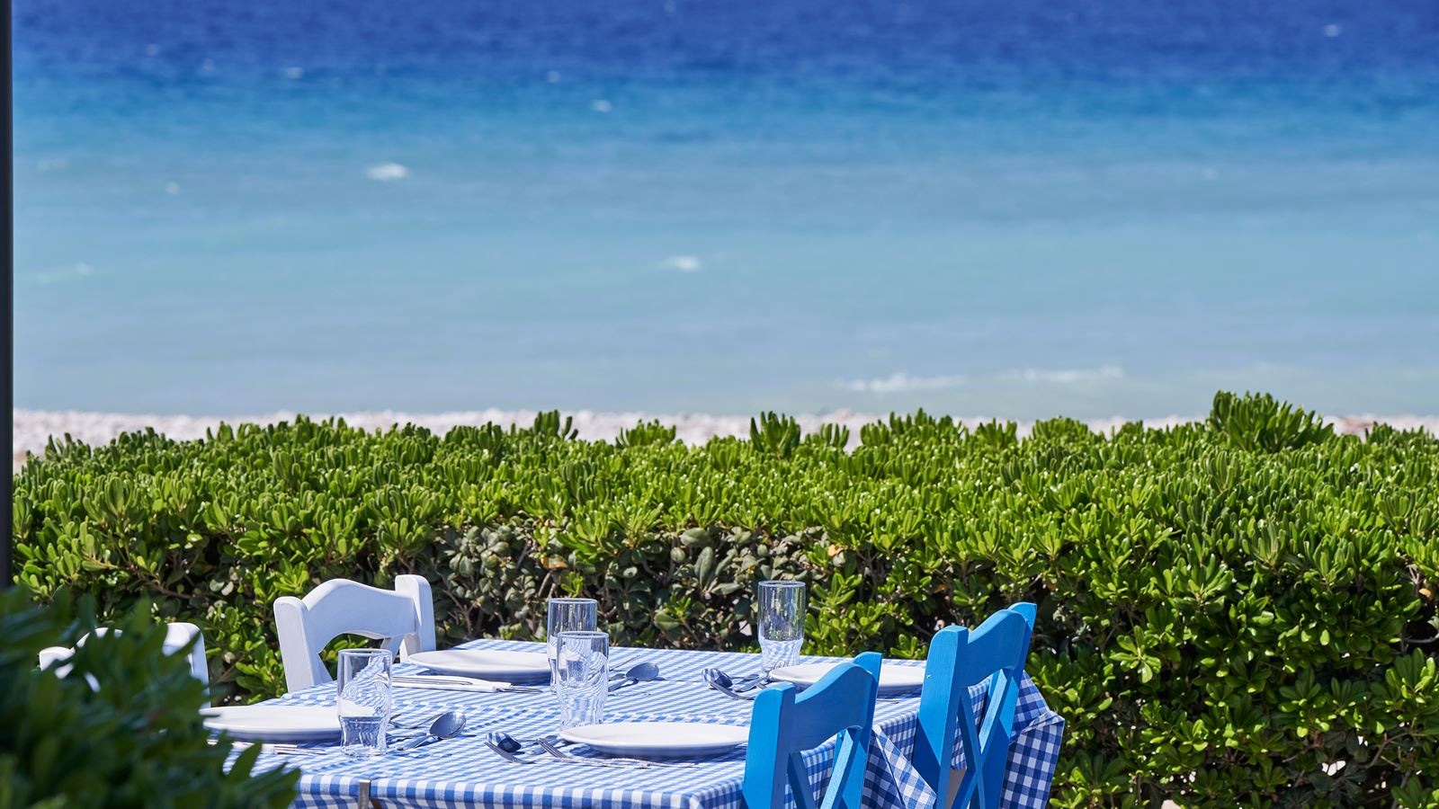 restaurants-muses
