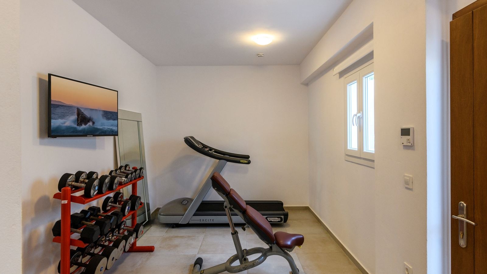 sport-sport