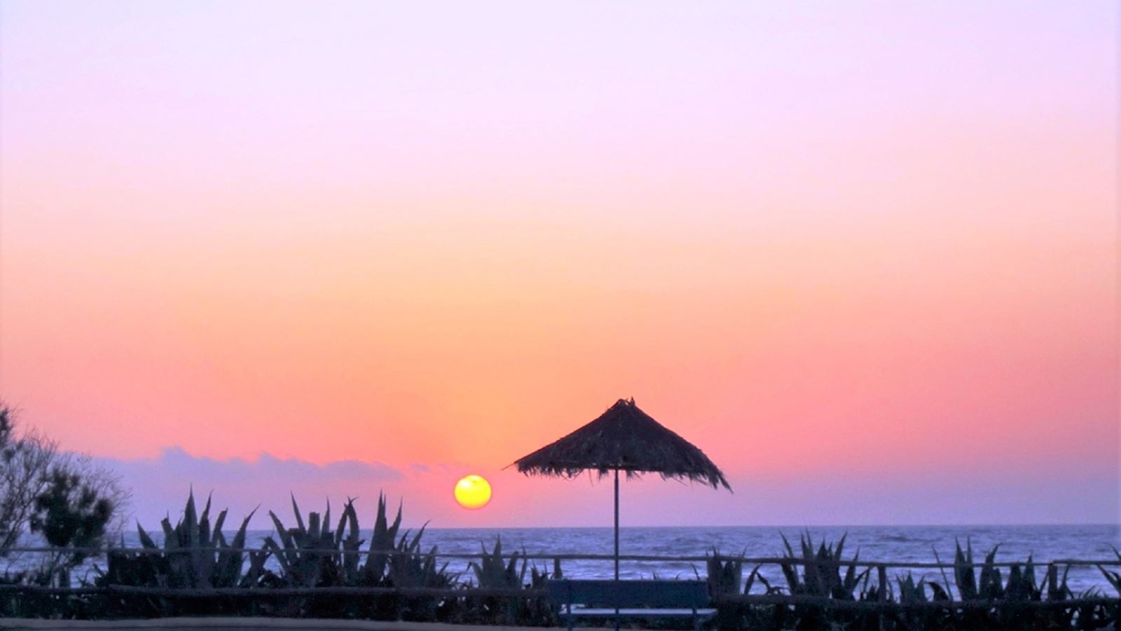 beach-beach