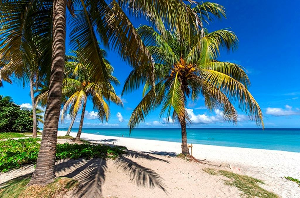beach-beach