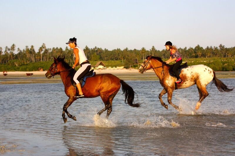 sport-sport