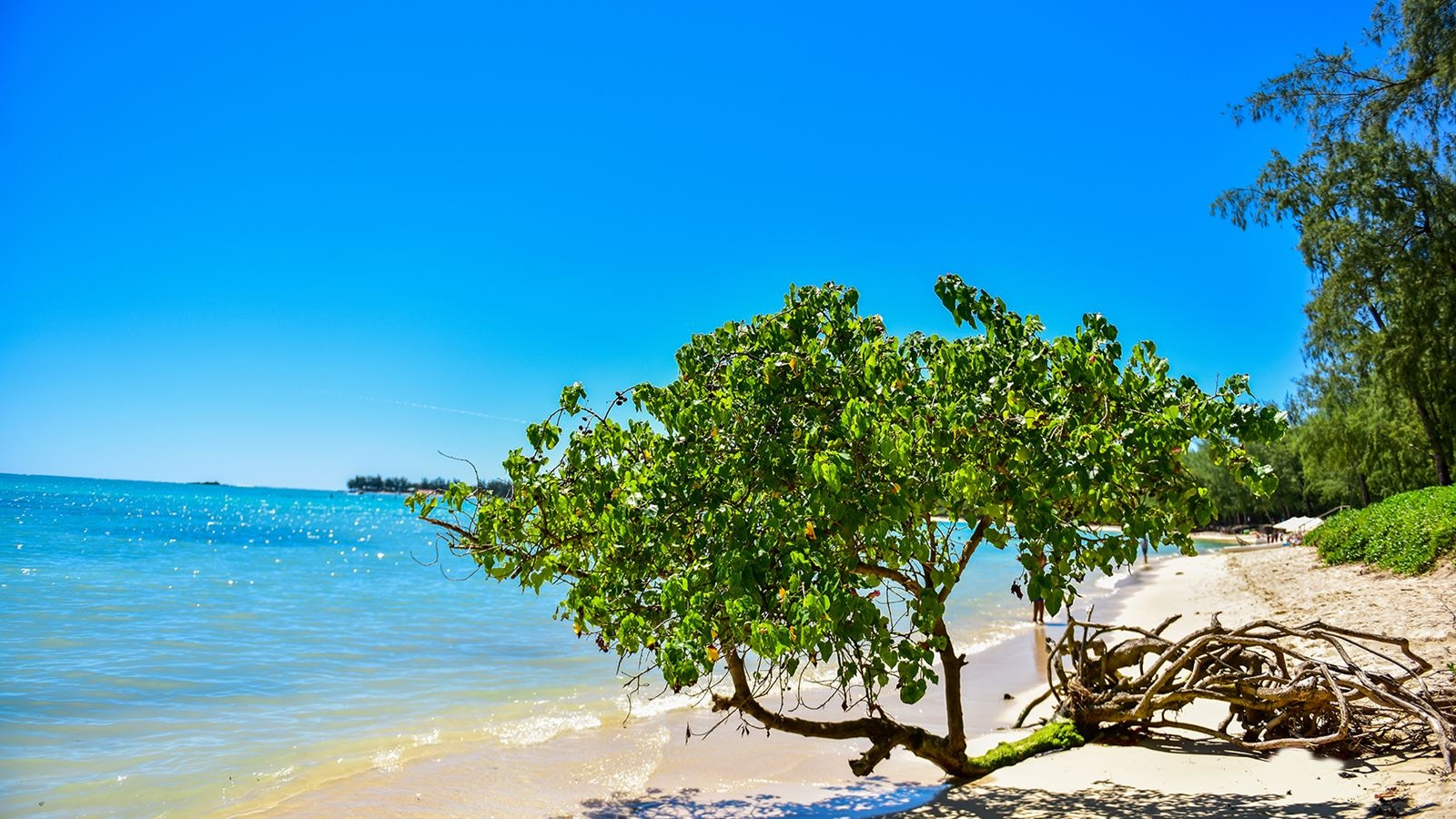 beach-beach