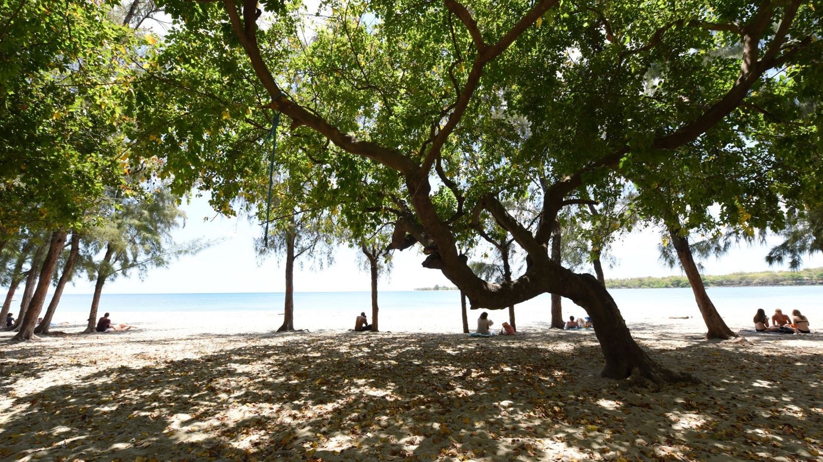 beach-beach
