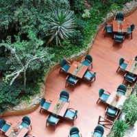Restauracje preview