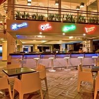Bary preview