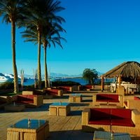Restauracje preview