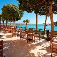 Restauracje preview