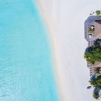 Restauracje preview