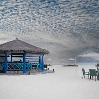 Restauracje preview
