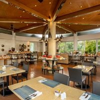 Restauracje preview