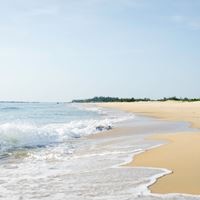Plaża preview