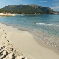 Plaża preview