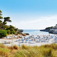 Plaża preview