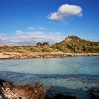 Plaża preview