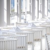 Restauracje preview