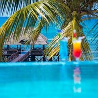 Restauracje preview