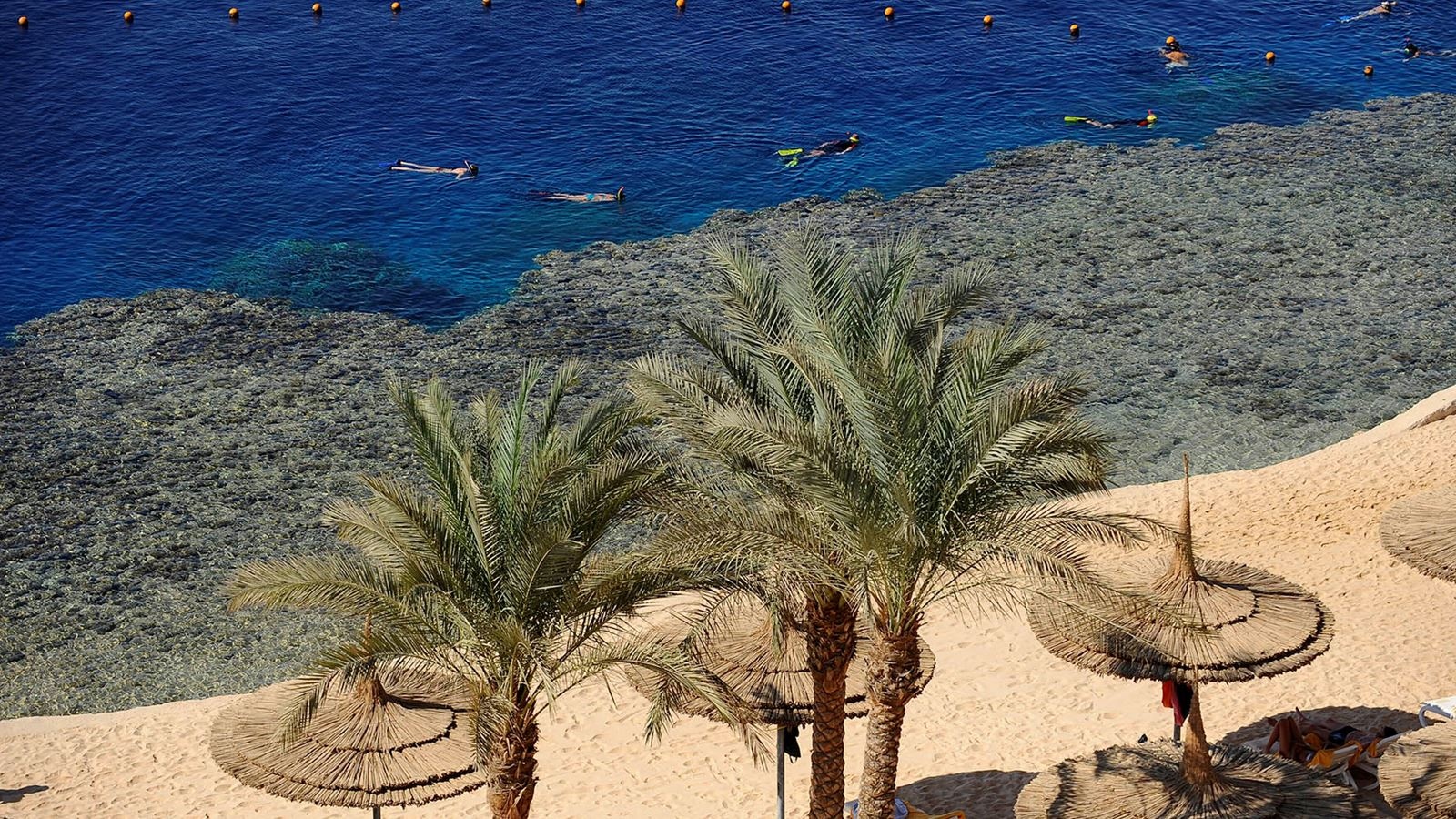 beach-beach