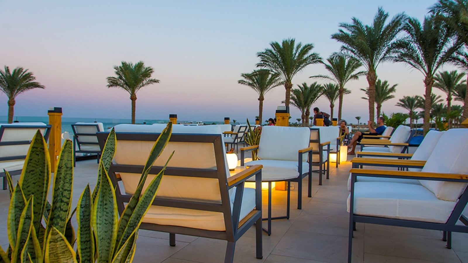 bars-sky-roof-café