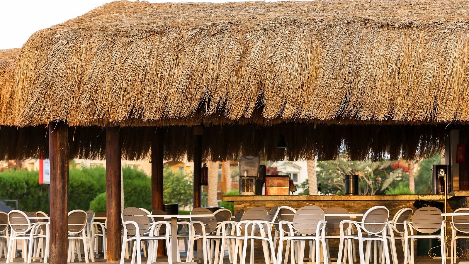 bars-tiran-bar