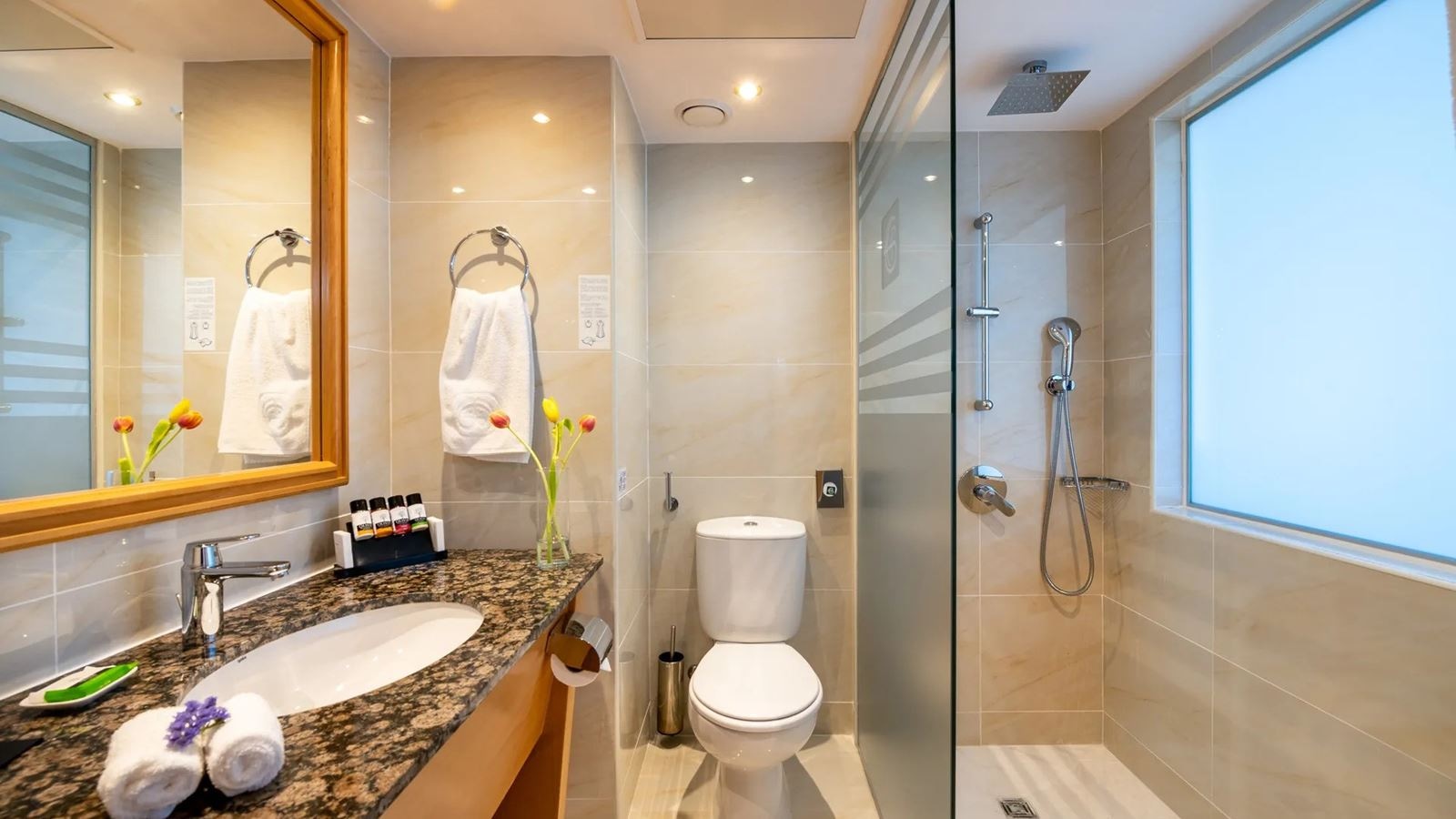 rooms-room-classic-singleuse-seaview