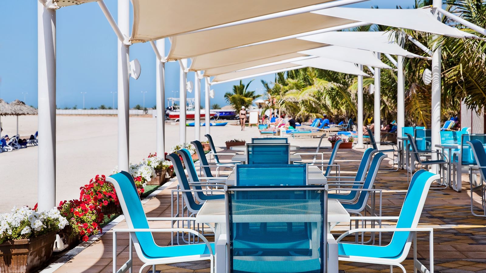 bars-turtle-beach