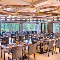 Restauracje preview