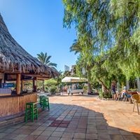 Restauracje preview