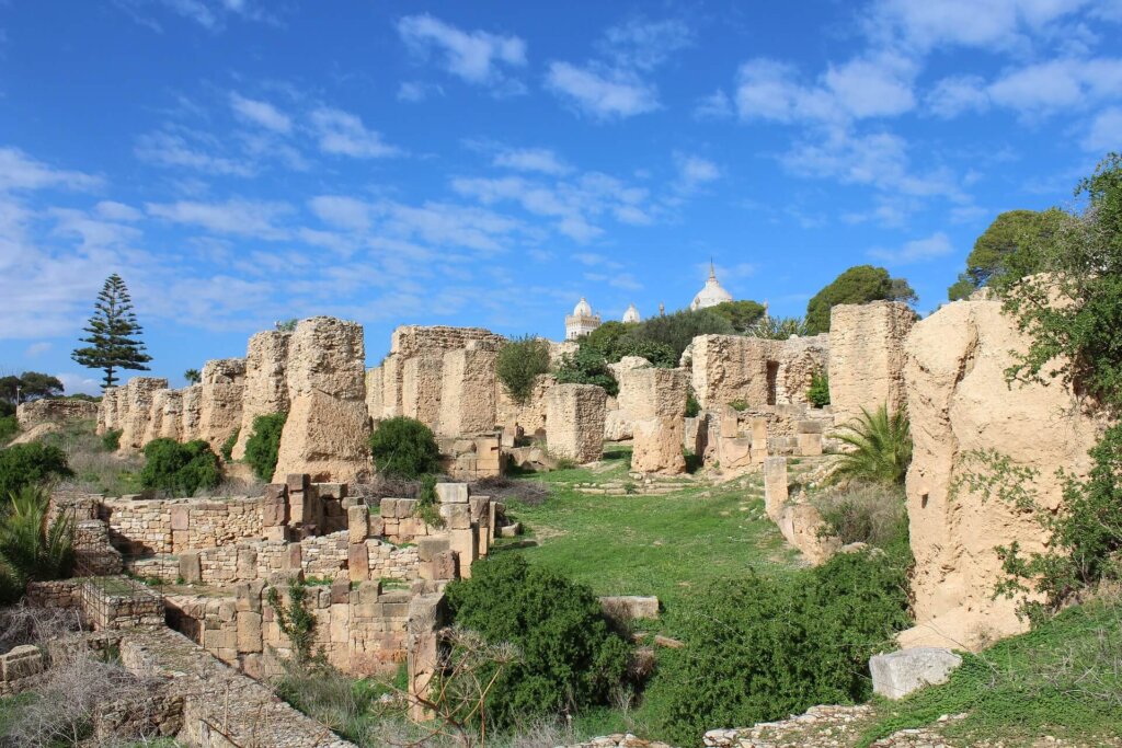 Widok na kamienne pozostałości starożytnego miasta Kartagina, porośnięte drobną zielenią, z charakterystycznymi kopułami kościoła św. Ludwika w tle pod błękitnym niebem.