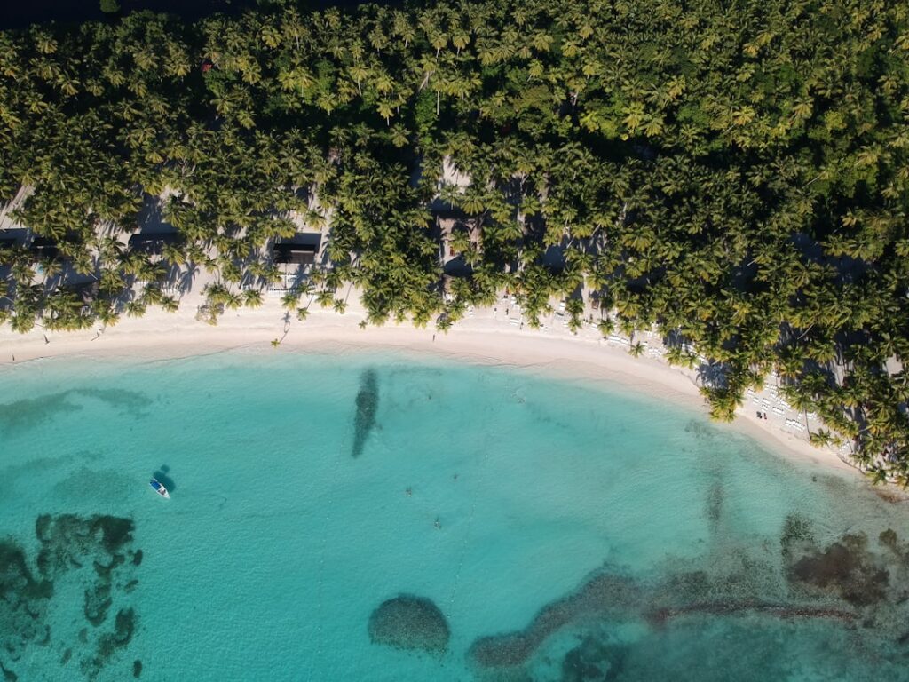 Relaks na plaży w Punta Cana w Dominikanie – leżaki w cieniu palm i widok na błękitne Morze Karaibskie