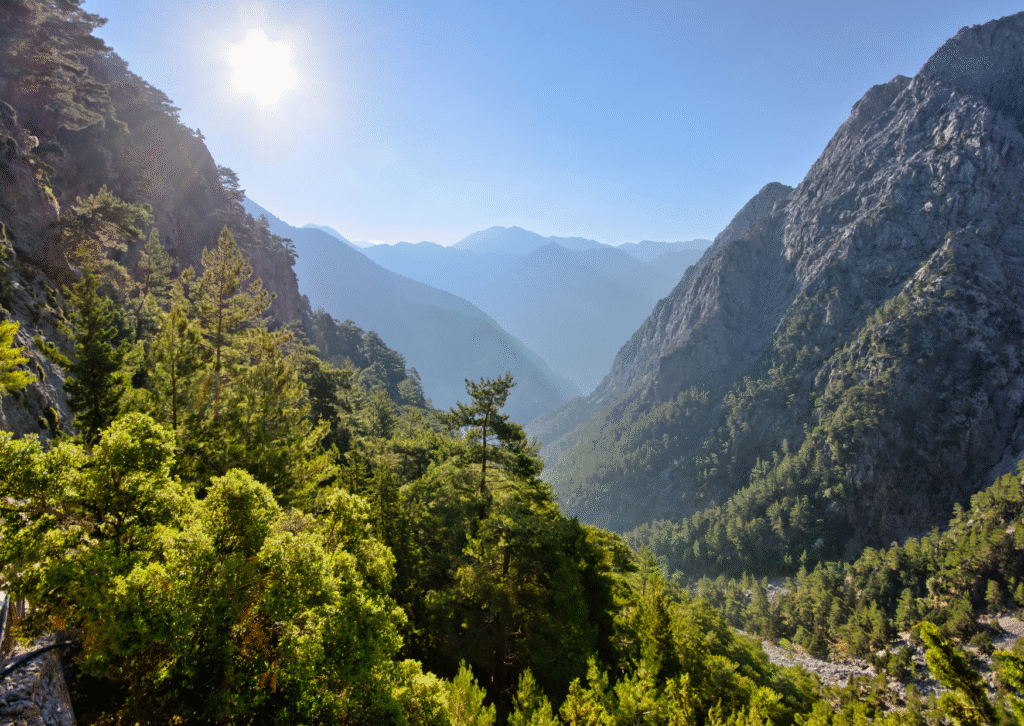 Panorama Wąwozu Samaria na Krecie o poranku, otoczonego górskimi szczytami i gęstym lasem.