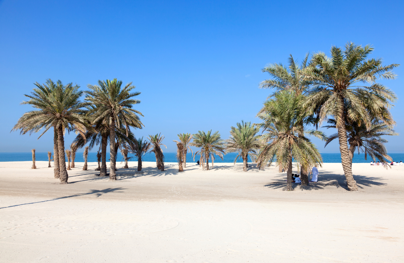Plaża z palmami w emiracie Umm al-Kajwajn