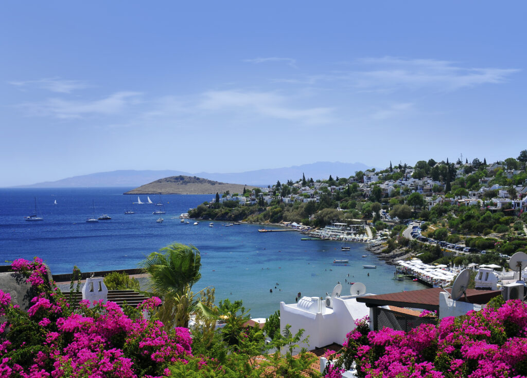 Widok na nadmorską zatokę Bodrum: po prawej malownicze białe domy na wzgórzu, poniżej plaża z parasolami i molo, na wodzie żaglówki, a na pierwszym planie różowe bugenwille.