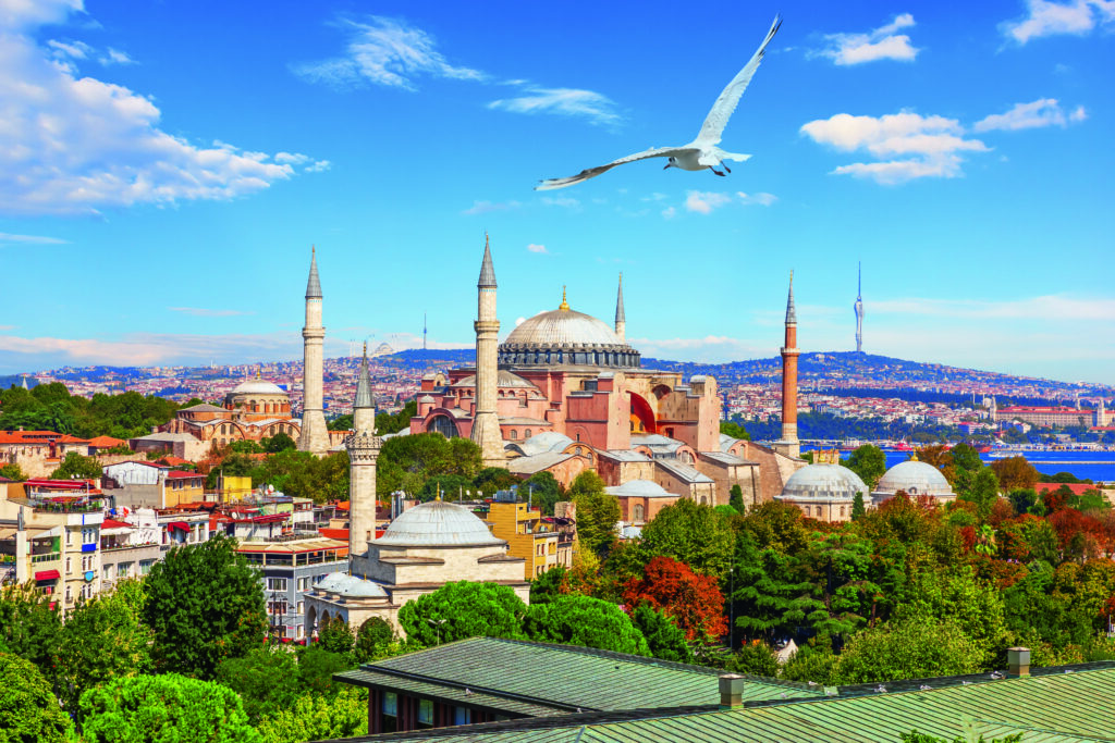 Panorama Hagia Sophia w Stambule z kopułą, minaretami i lecącą mewą na tle błękitnego nieba
