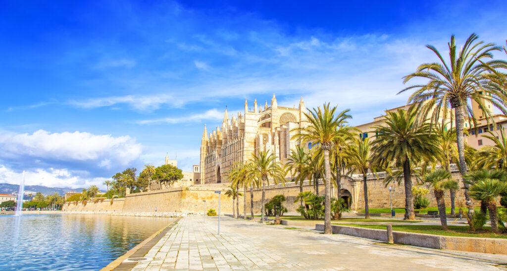 Katedra La Seu w Palmie de Mallorca nad spokojnym portem, w tle błękitne niebo i palmy
